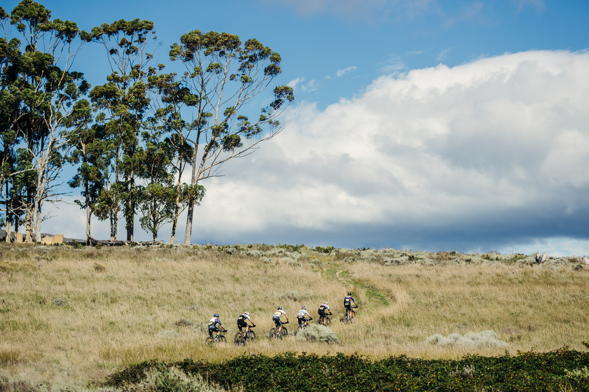 A grassy field with a row of cyclists riding single file through it